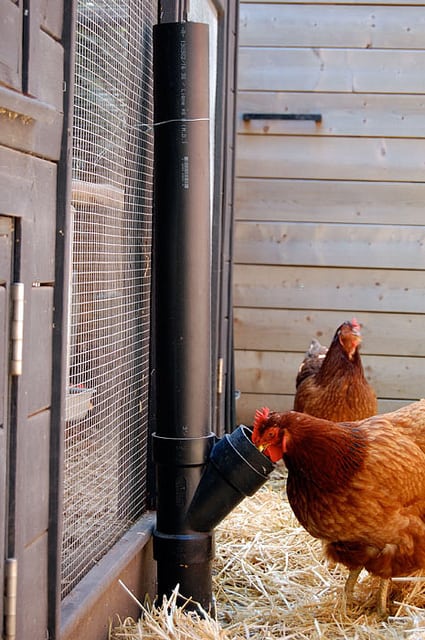 DIY Chicken Feeder – No Spill Feeders Reduce Rodents