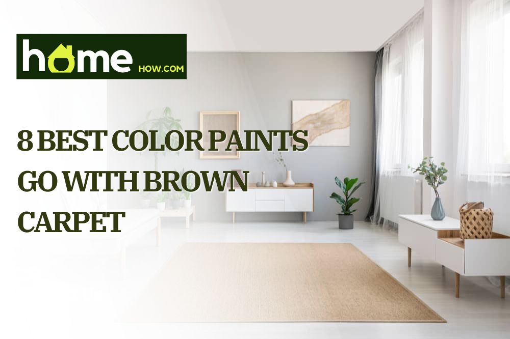 8 Best Color Paints Go with Brown Carpet