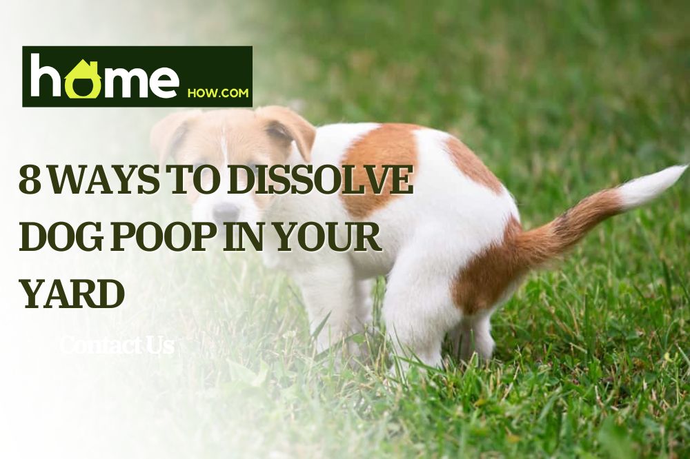 8 Ways To Dissolve Dog Poop In Your Yard