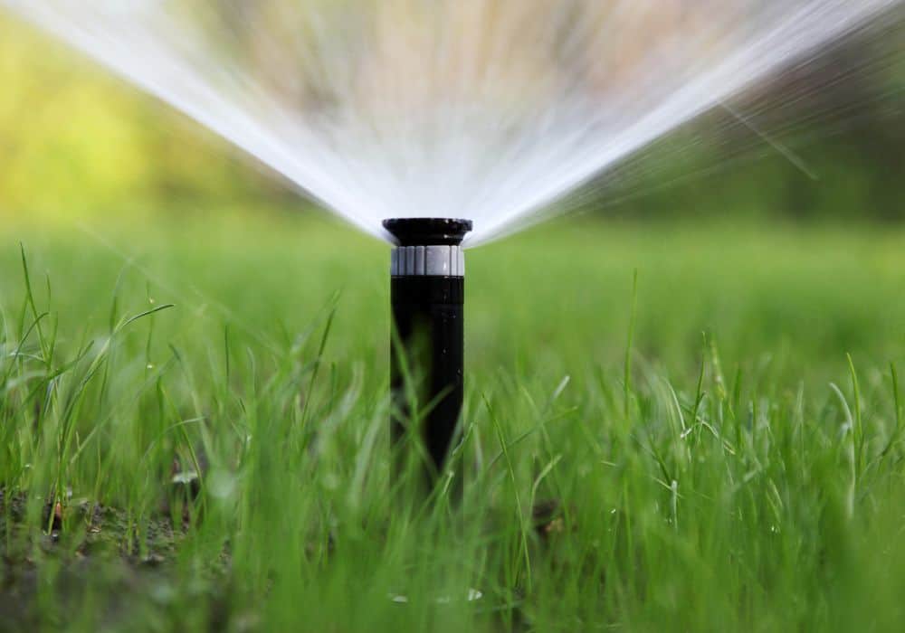 Step-by-Step Guide: How to Adjust The Rain Bird 5000 Sprinkler Heads
