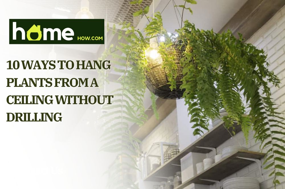 10 Ways to Hang Plants from a Ceiling Without Drilling