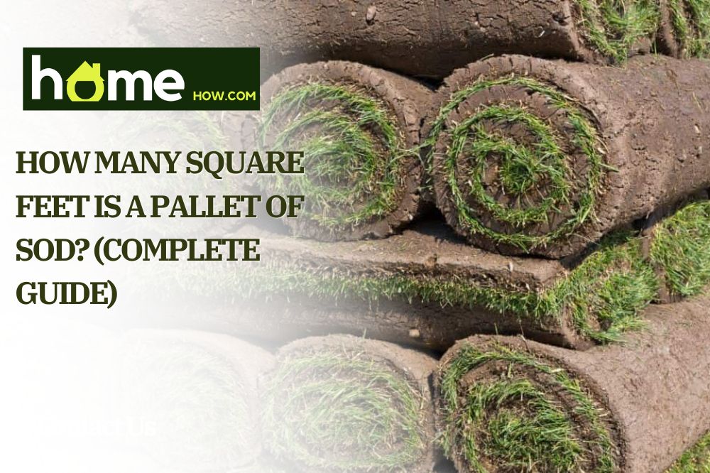 How Many Square Feet Is a Pallet of Sod (Complete Guide)